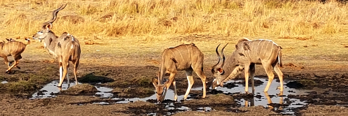 KALAHARI AND SALT PANS EXPEDITION